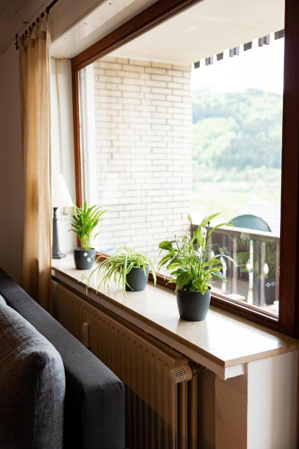 Ferienwohnung Mit Seeblick — Sport Und Erholung 빈터베르크 외부 사진